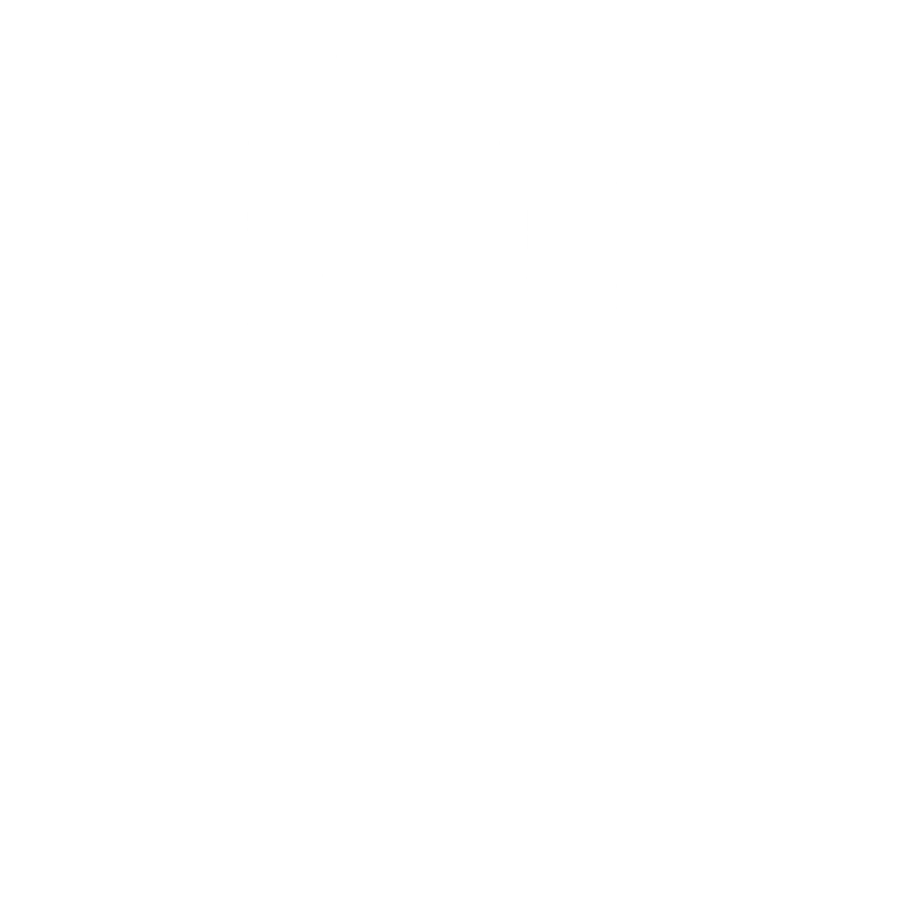 Federación Venezolana de Dodgeball 
