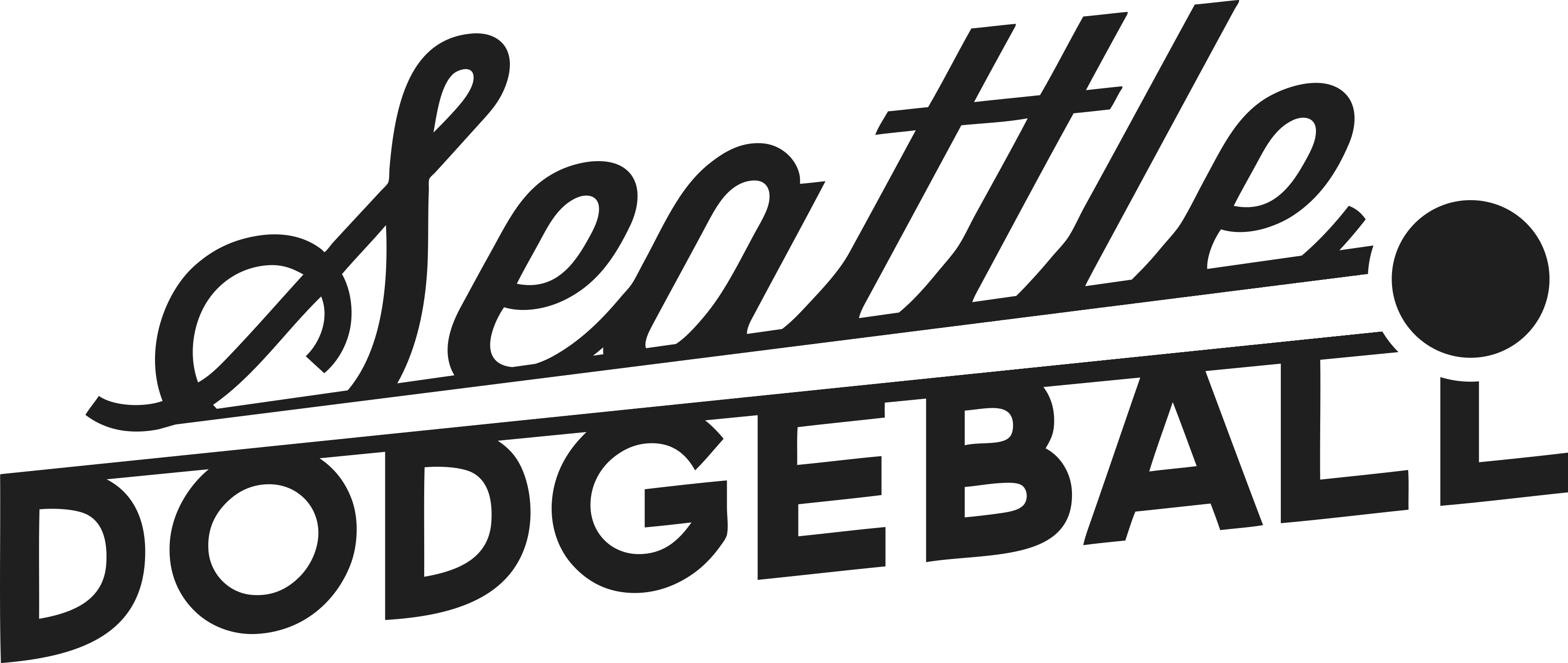 Dodgeball Seattle