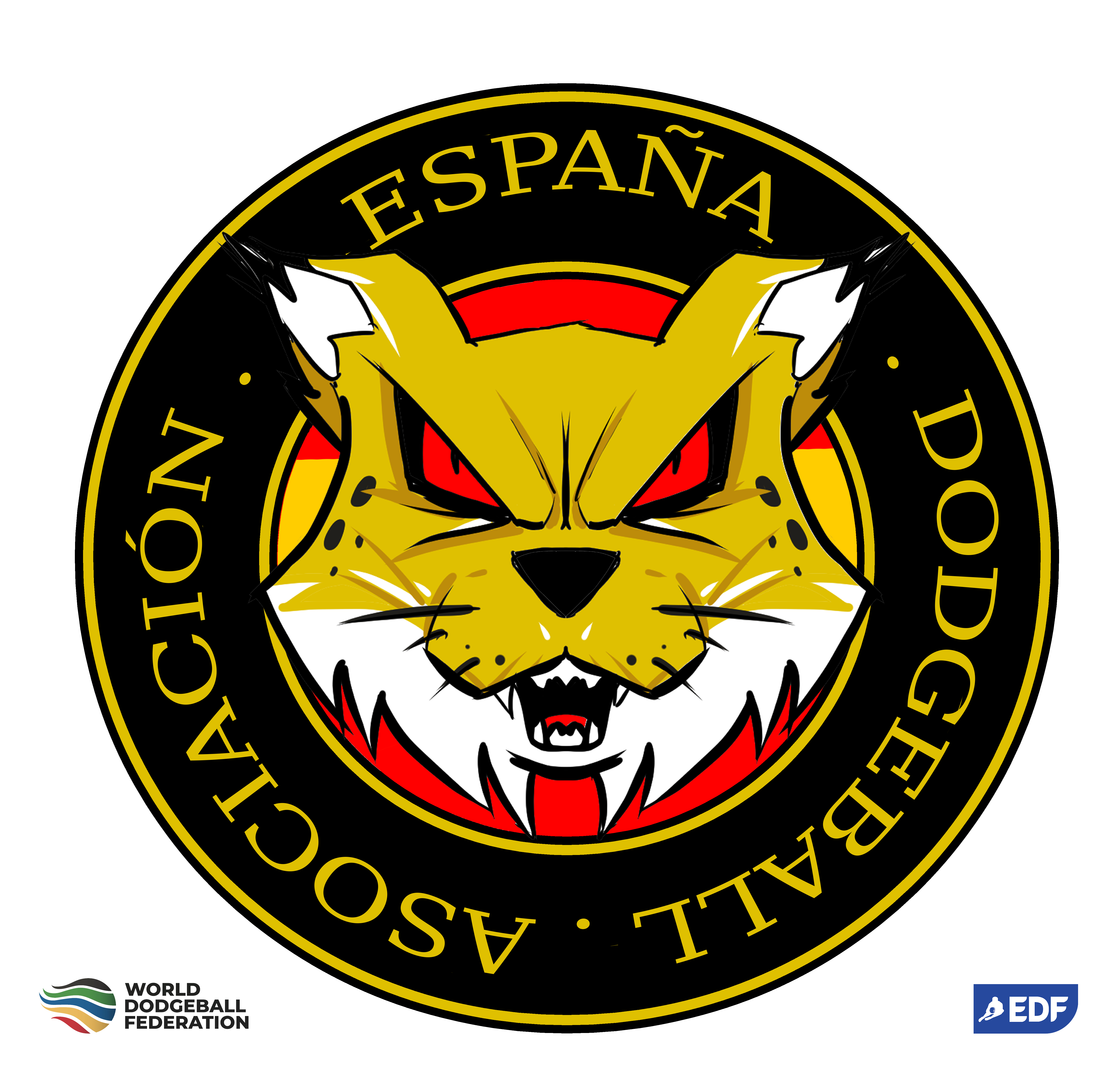ASOCIACIÓN ESPAÑOLA DE DODGEBALL