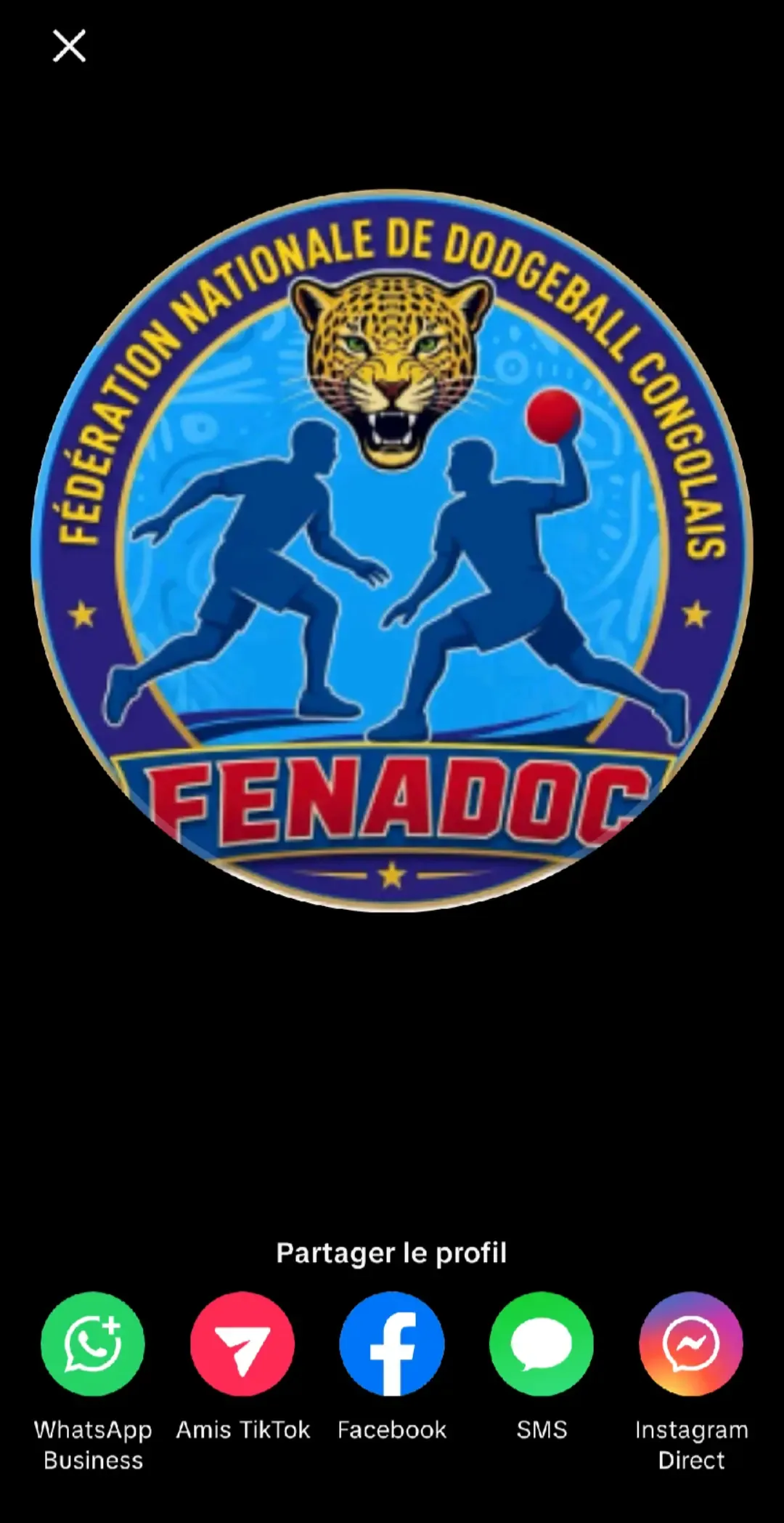Fédération nationale de Dodgeball Congolais 
